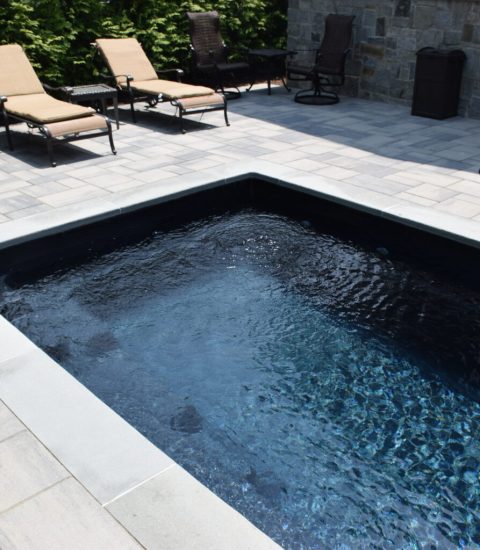 Puravida Custom Pools