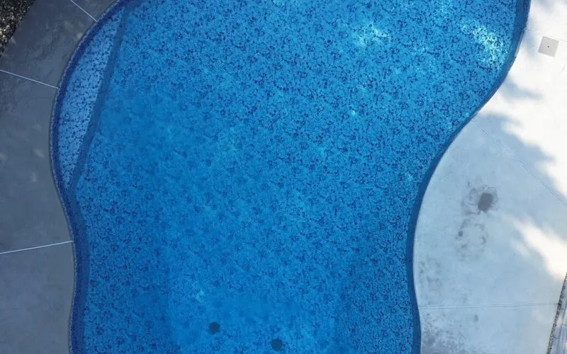 Freeform pool - Puravida Custom Pools