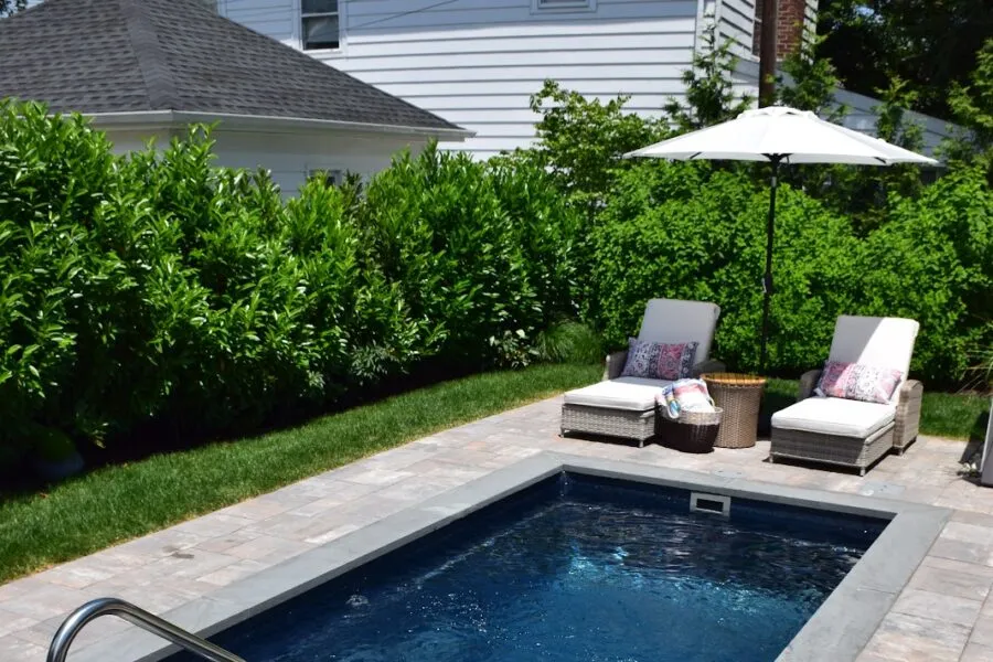 Cocktail pool - Puravida Custom Pools