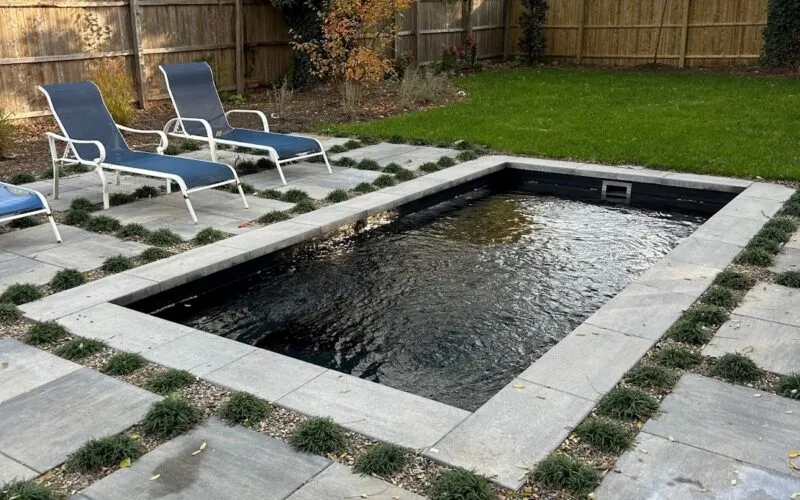 Cocktail pool - Puravida Custom Pools