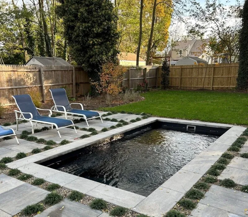 Cocktail pool - Puravida Custom Pools