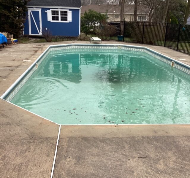 Puravida Custom Pools