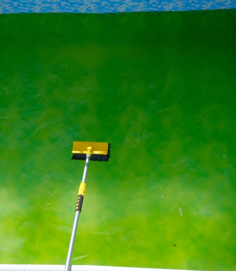 Puravida Custom Pools