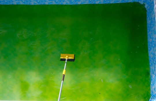 Your Complete Guide to Pool Opening and Closing in New Jersey